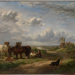 Landscape of harvesting the crops